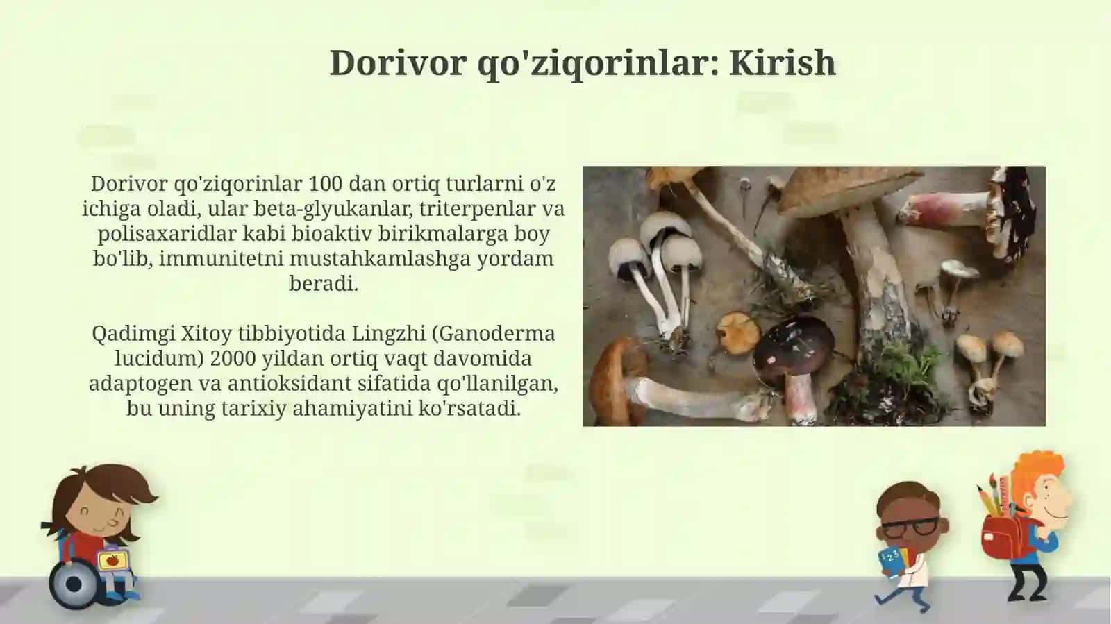 Dorivor zamburugʻlar 3