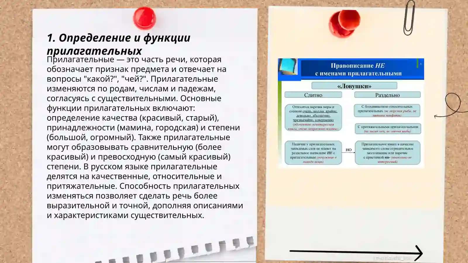 Правописание НЕ с прилагательными 3