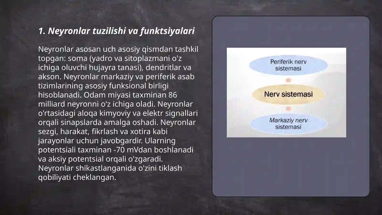 Umurtqalilar markaziy asab tizimining tuzilishi va vazifasi 3