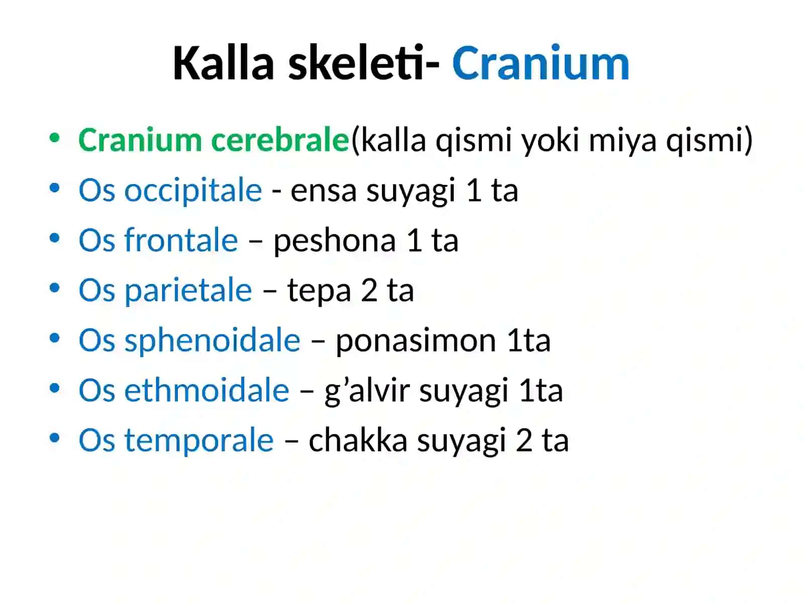 Kallasuyaklarining umumiy anatomiyasi (miya qism suyaklari) 3