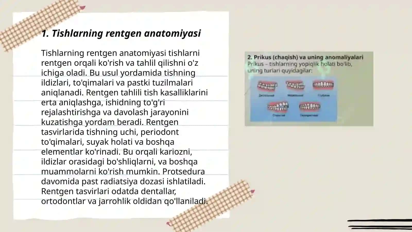 Tishlarning rentgen anatomiyasi 3