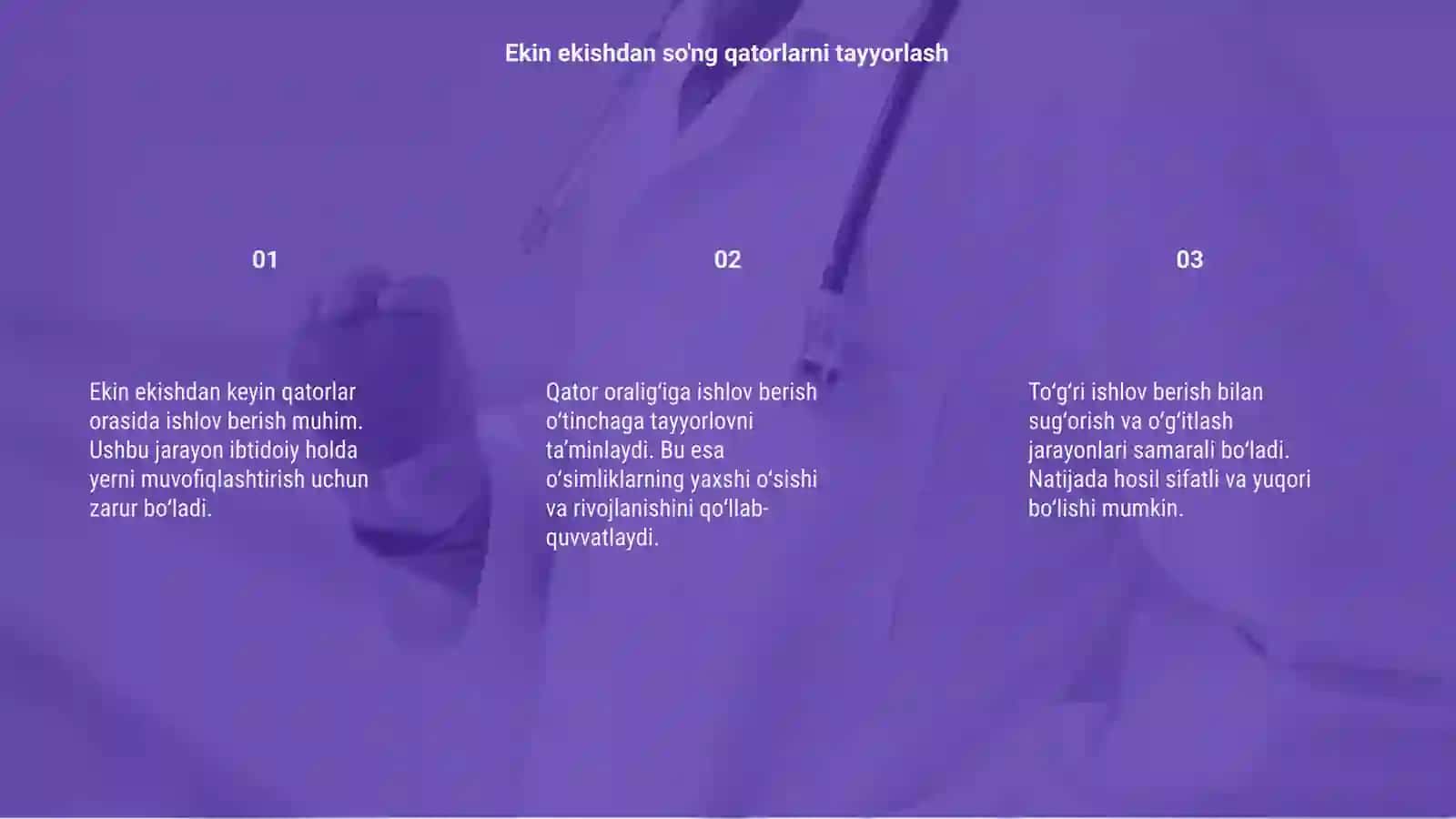 Ekin ekishdan keyin qator oralariga ishlov berish 3