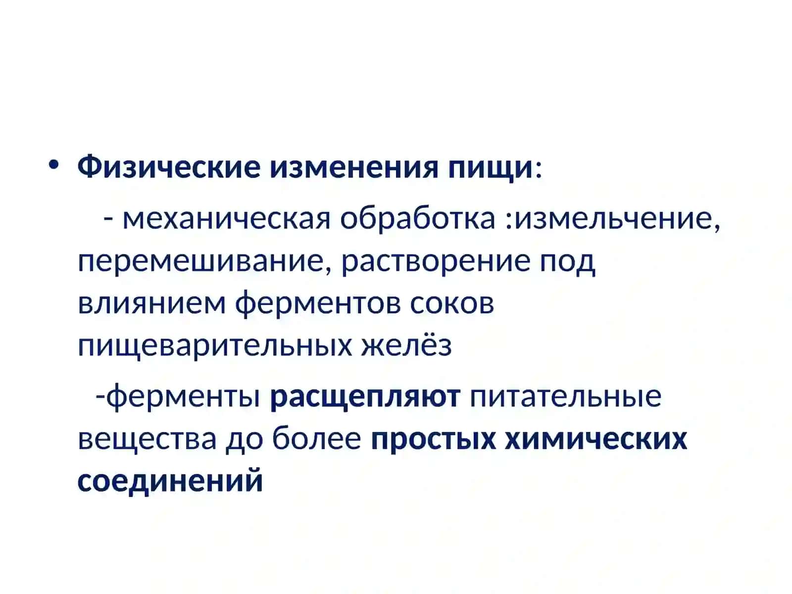 Анатомия и физиология человека 3