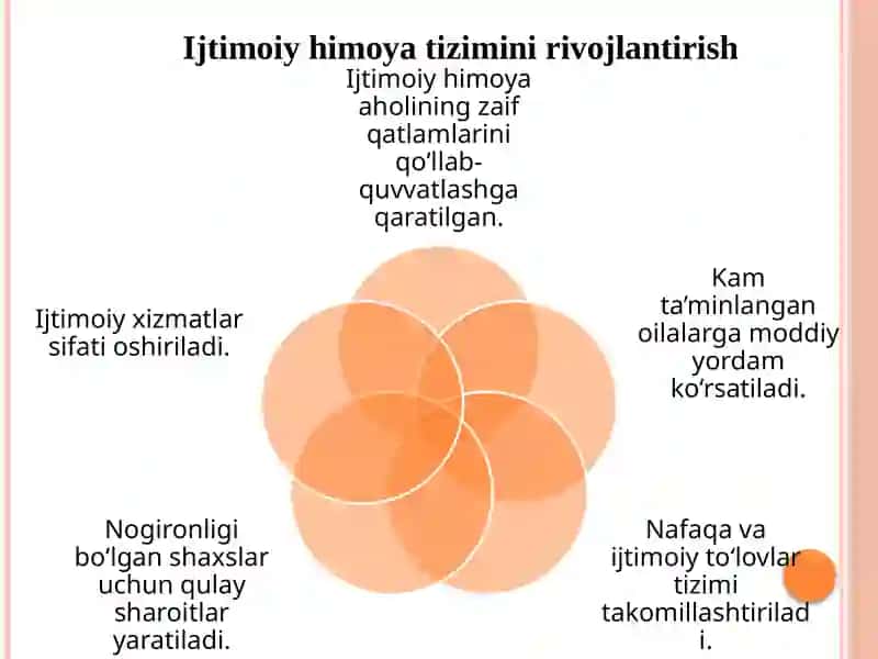 Jamiyatning ijtimoiy sohasini rivojlantirish davlat siyosati 3