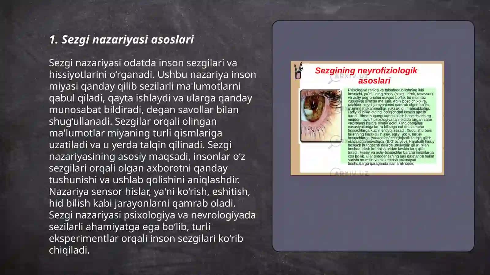 Sezgining reseptor va reflektor nazariyasi haqida sezgi analizatorlari 3
