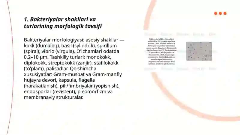 Bakteriyalar morfologiyasini oʻrganish va tekshirish 3