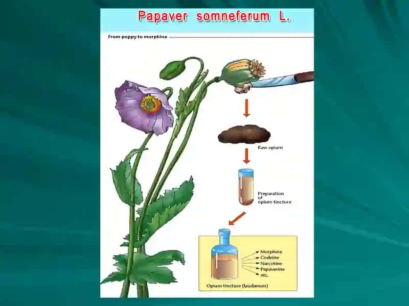 НАРКОТИК ВА НОНАРКОТИК АНАЛЬГЕТИКЛАР 3