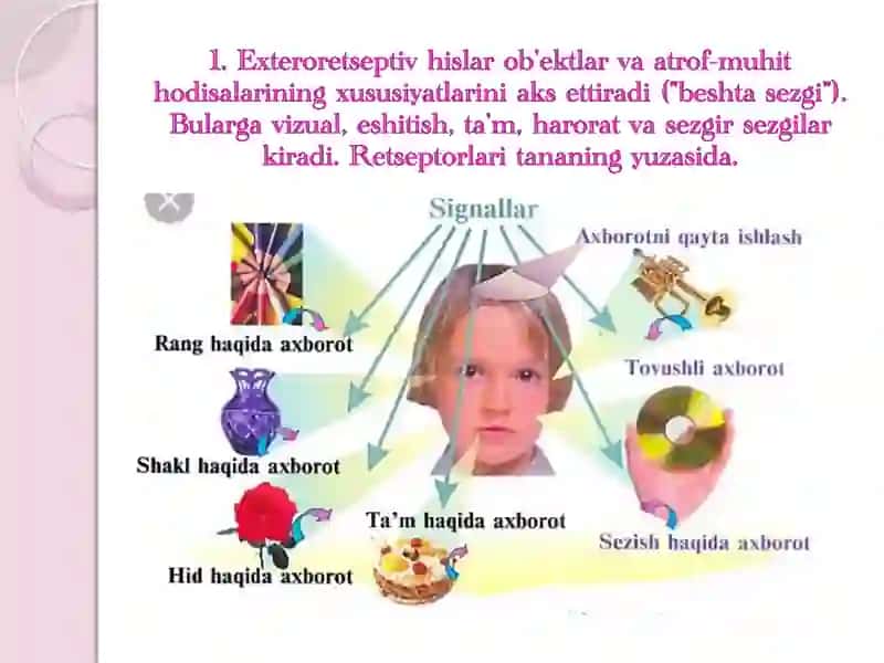 SEZGI TURLARI 3