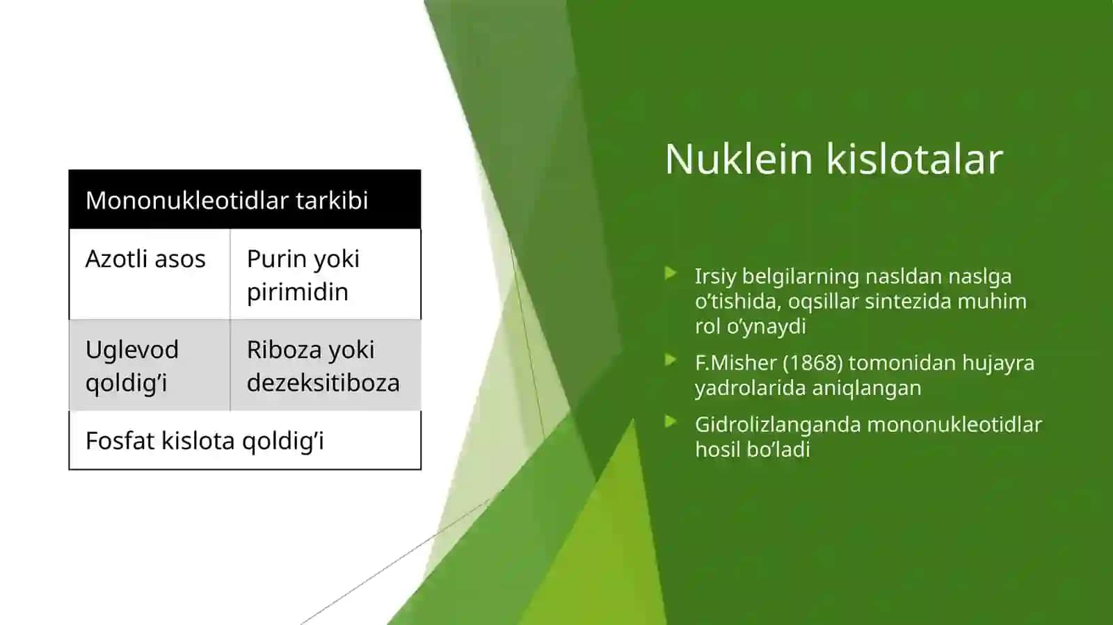 nuklein kislotalar 3