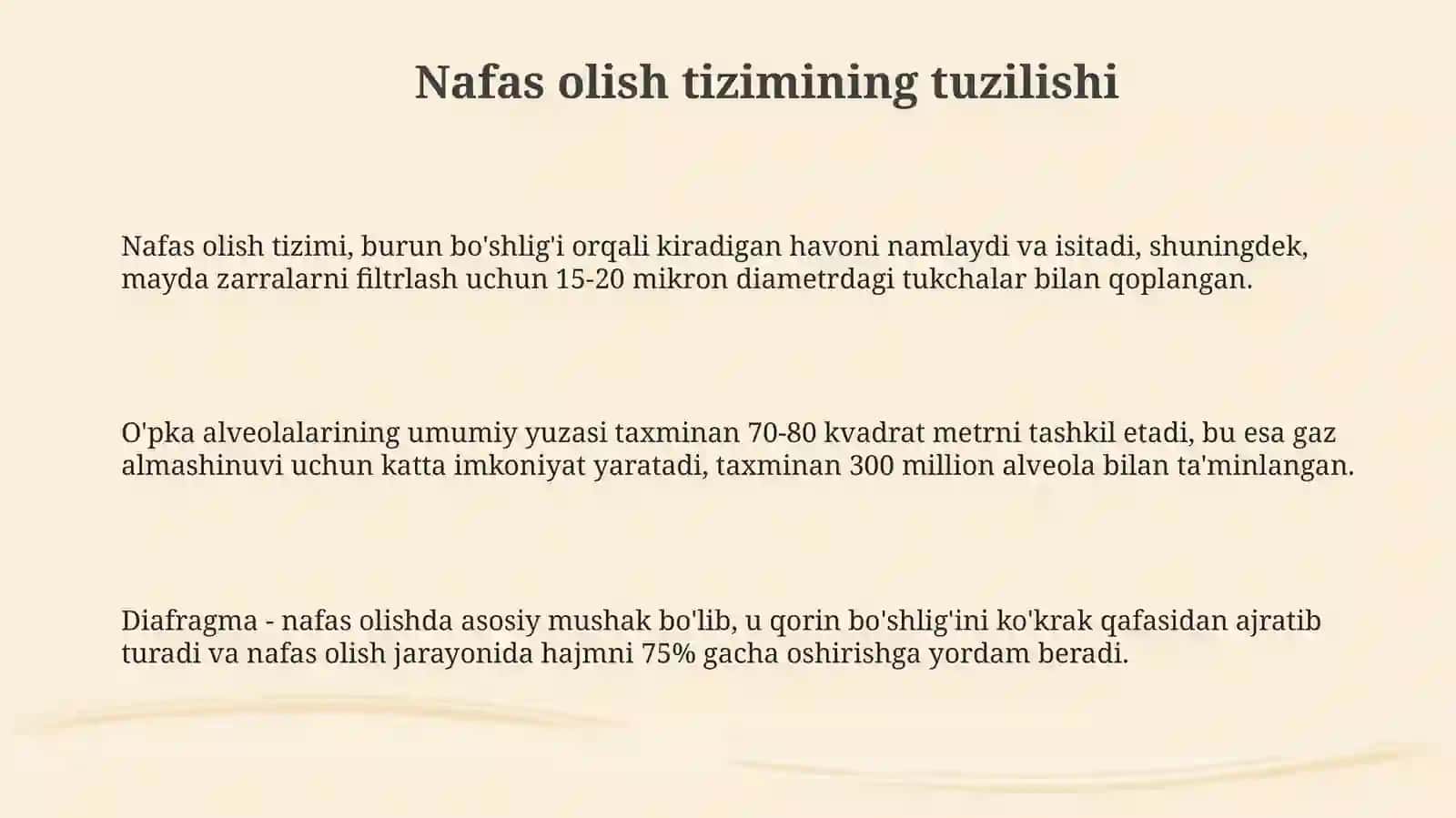Nafas olish tizimi 3