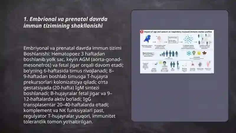 Immun tizimining shakllanishi va yoshga qarab oʻzgarishi 3
