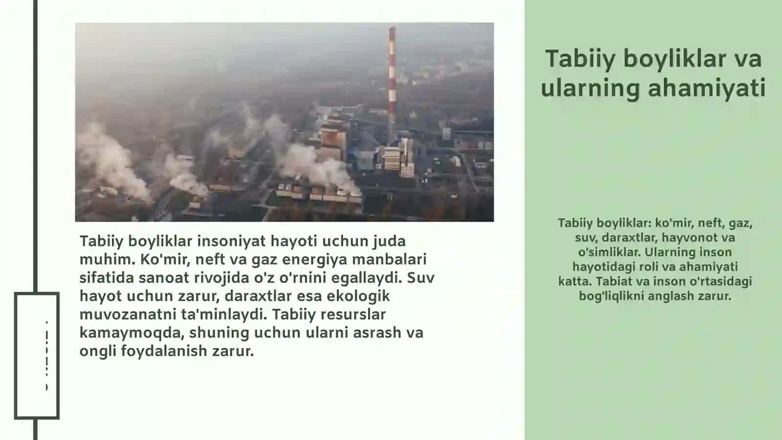 Tabiiy boyliklar 3