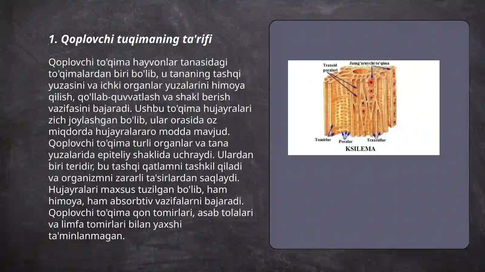Qoplovchi tuqima va uning turlari 3