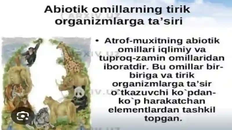 Organizimlarning tarqalish Omillari Abiotik Biotik Antropogen omillar. 3