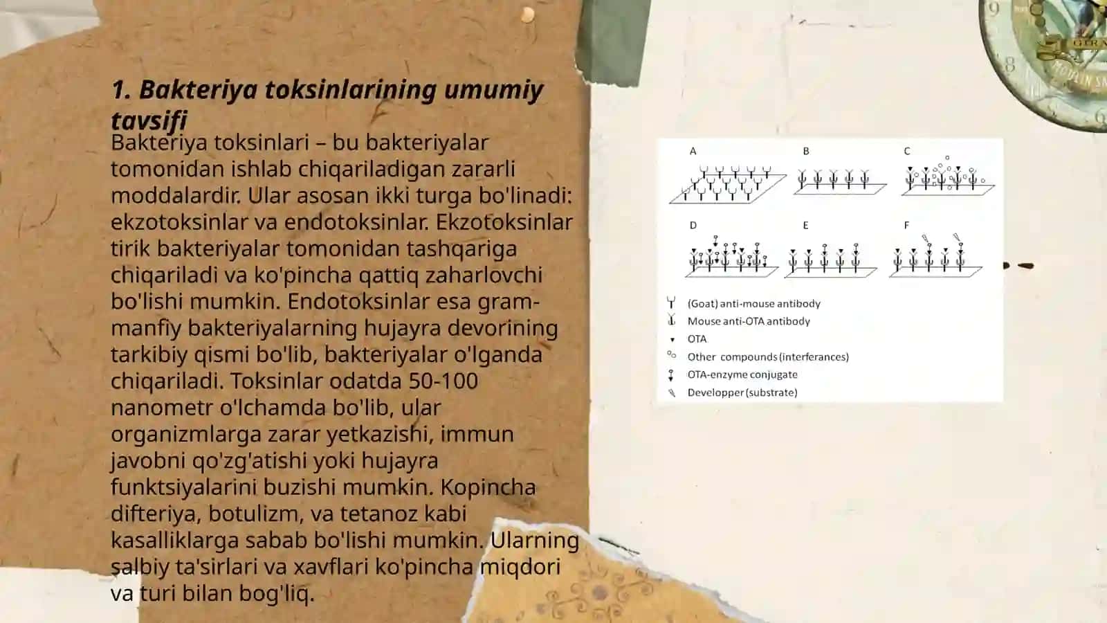 Bakteriya toksinlari, ularning turlari va ahamiyati 3