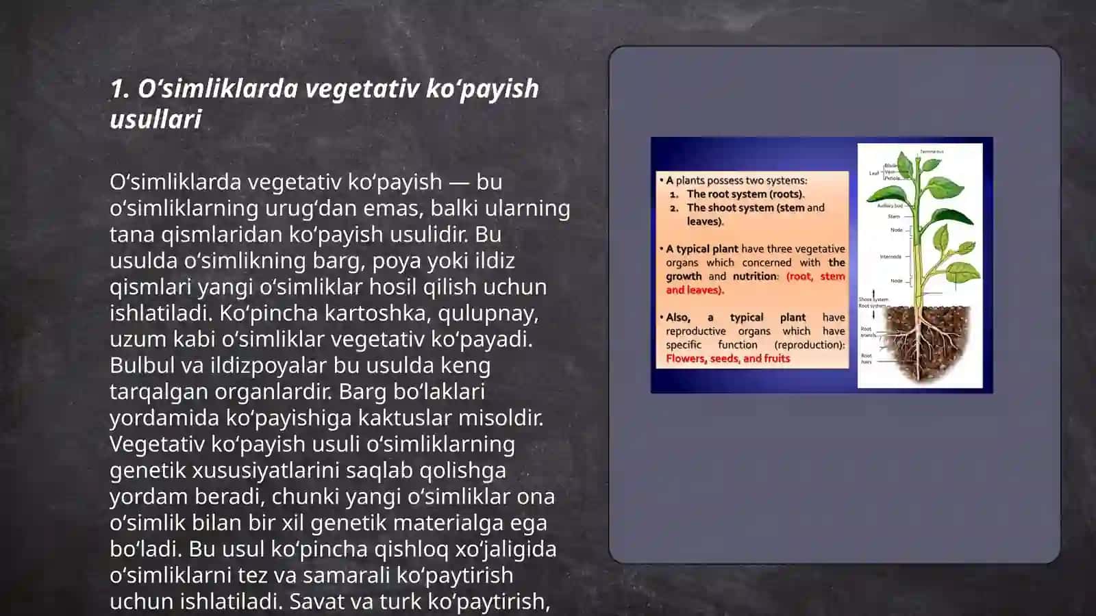 Oʻsimliklarda vegetativ,jinssiz va jinsiy Koʻpayishning mohiyati va ularning qishloq hoʻjaligidagi ahamiyati 3