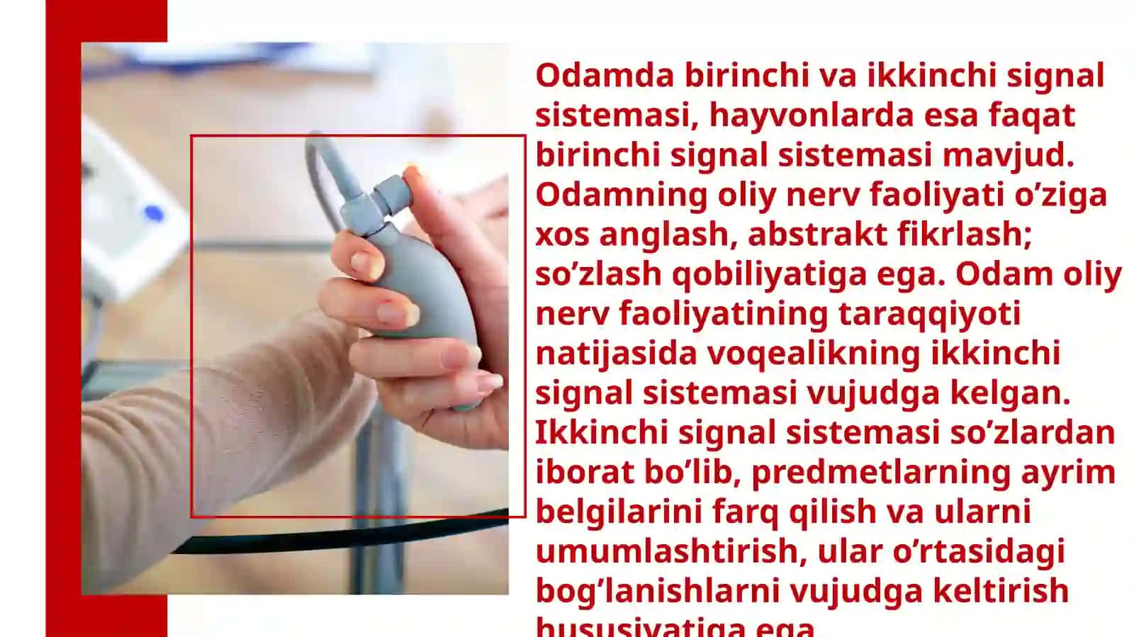 Bolalarda ikkinchi signal sistemasining rivojlanishi 3