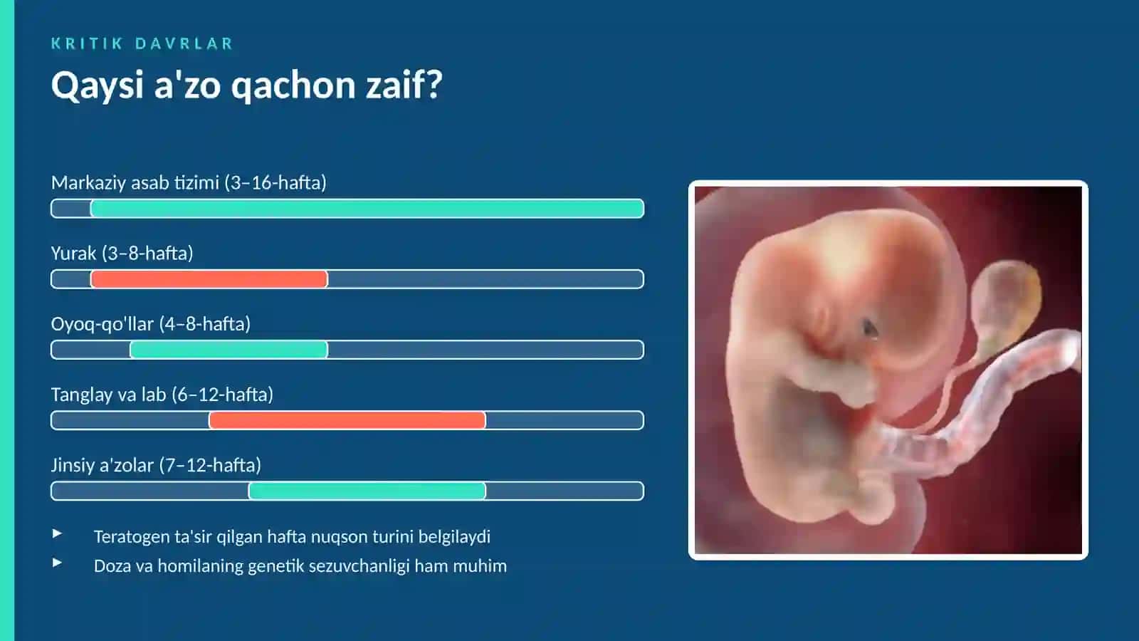 PATOLOGIK FIZIOLOGIYA 3