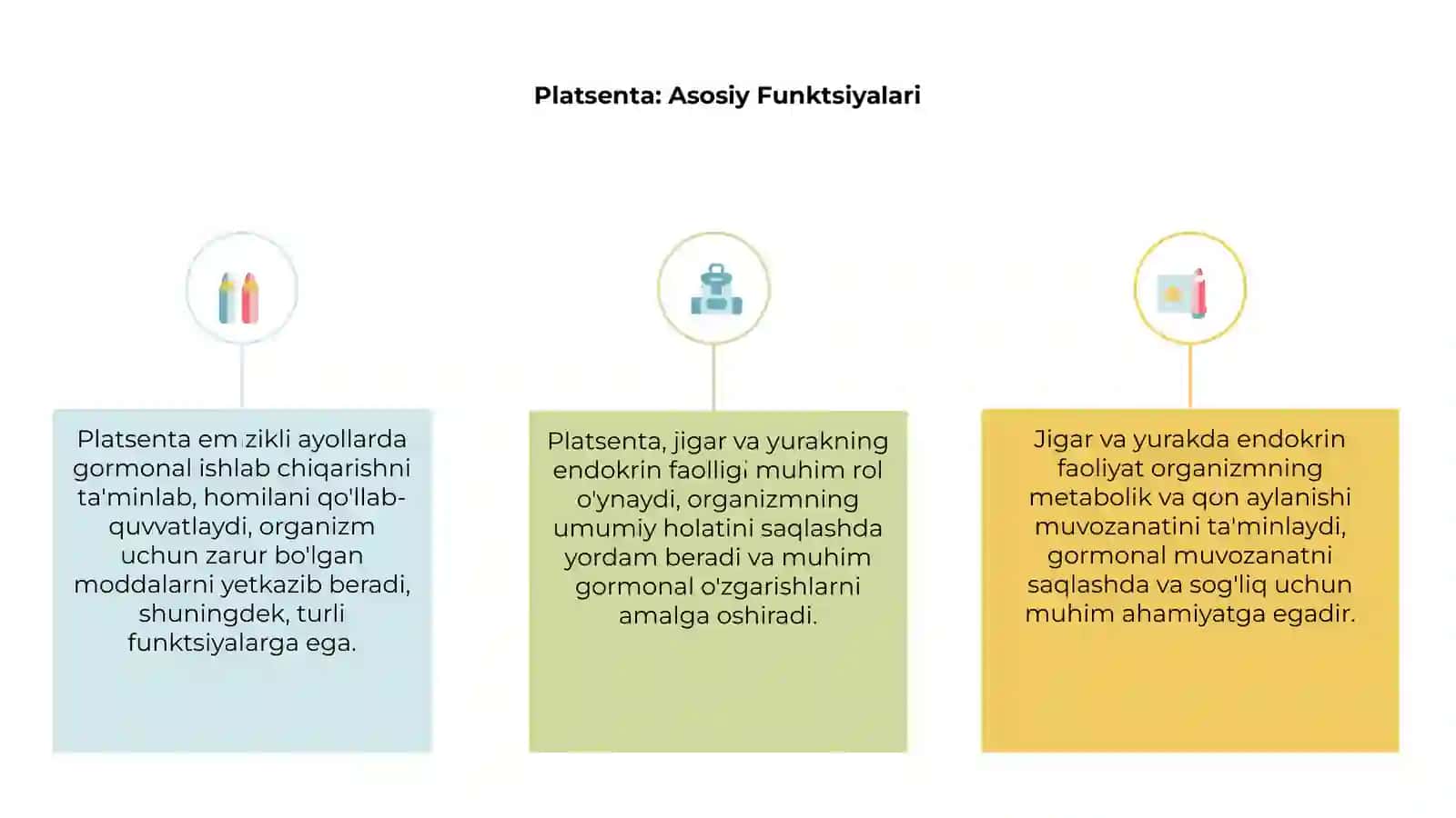 Platsenta 3