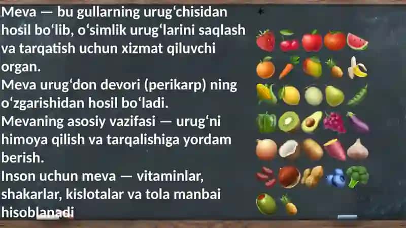 Mevavaurugʻtuzilishi 3