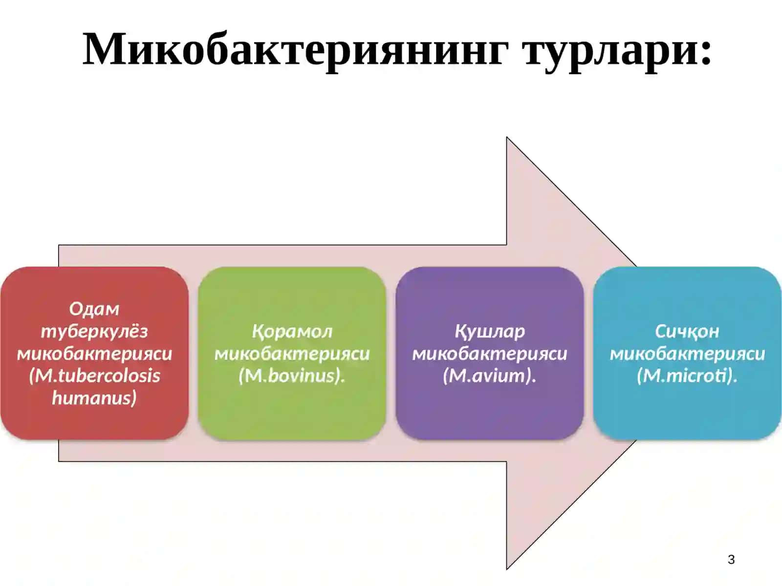 Silmikobakteriyasi (SMB) 3