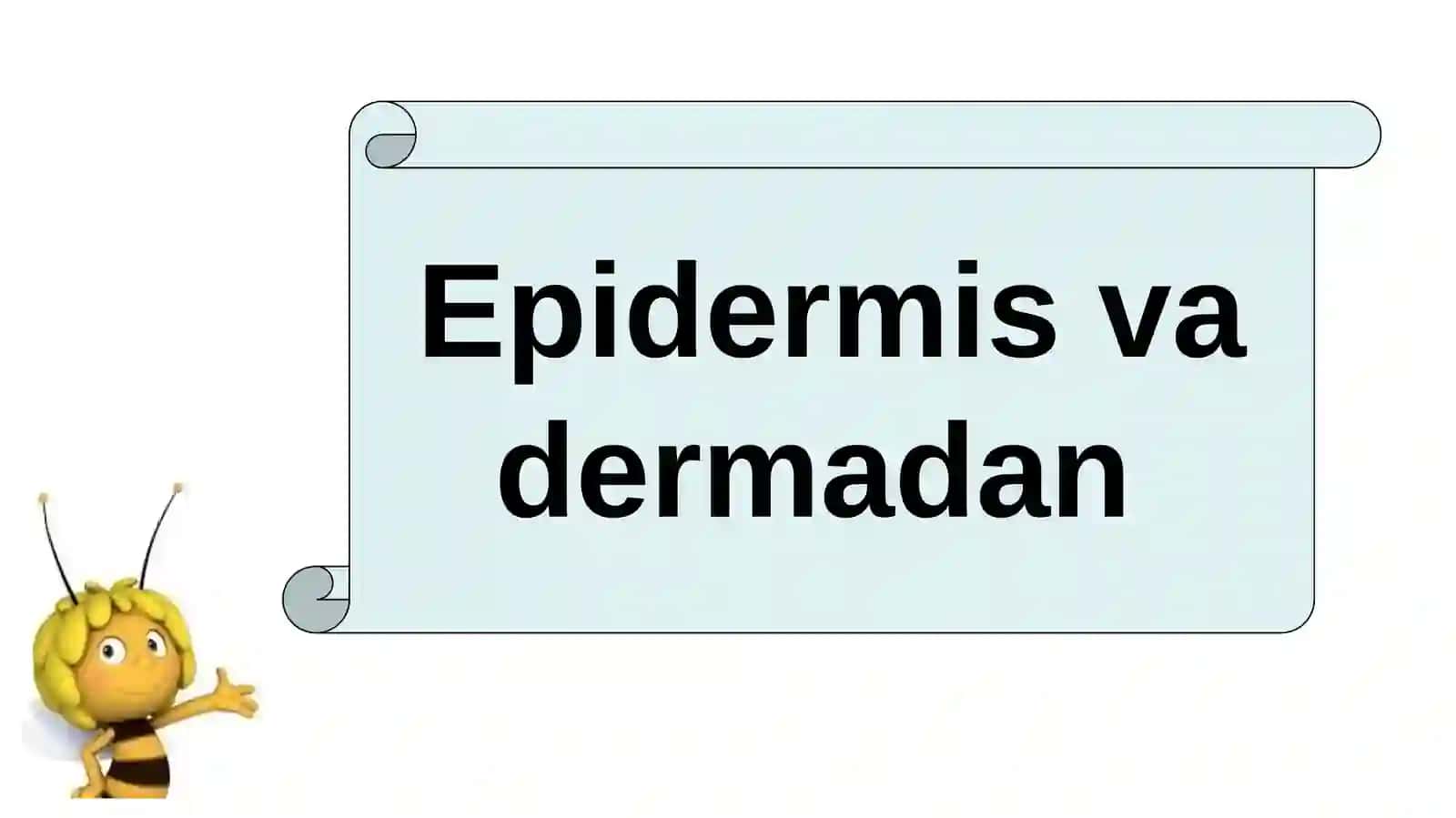 HAYVONLARNING NAFAS OLISH ORGANLARI EVOLUTSIYASI 3