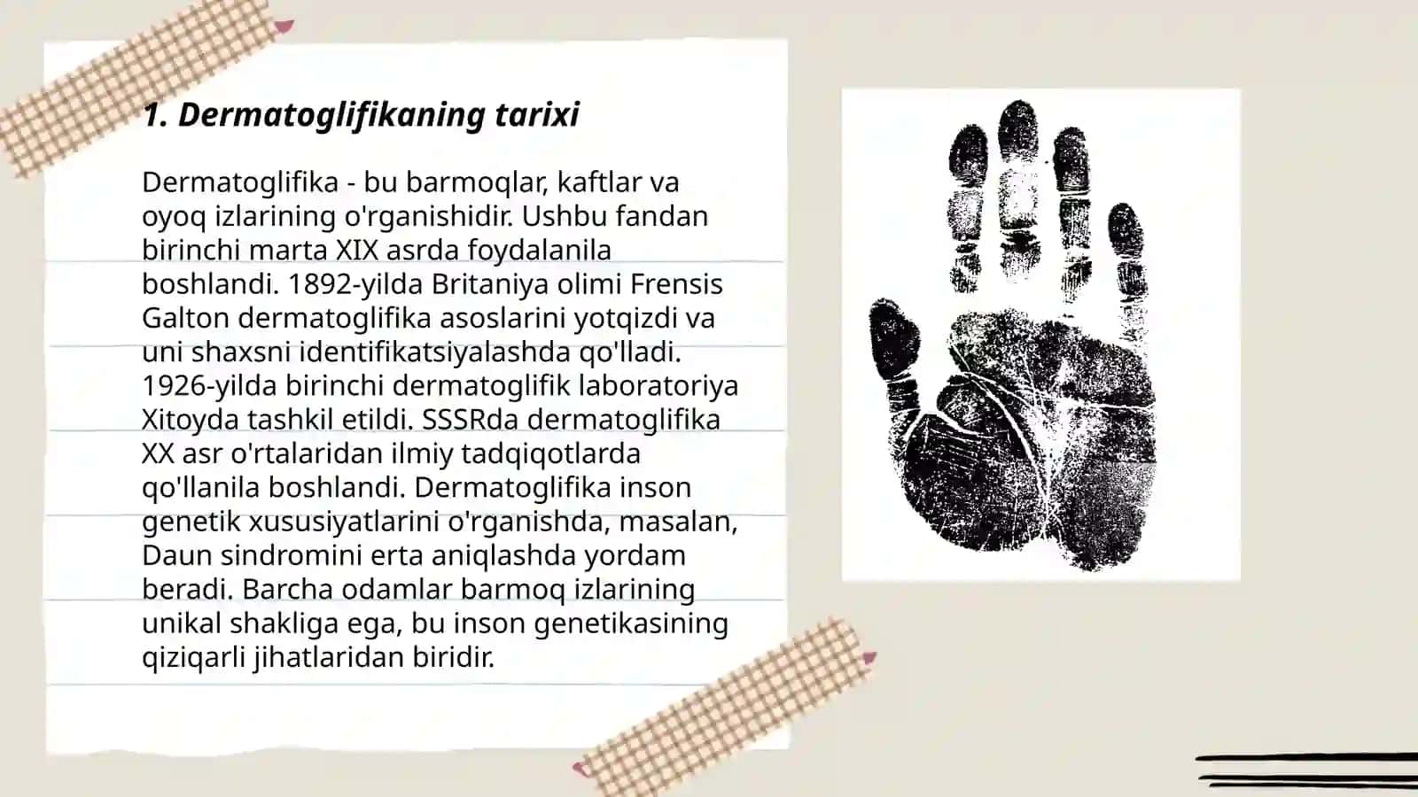 Dermatoglifika 3