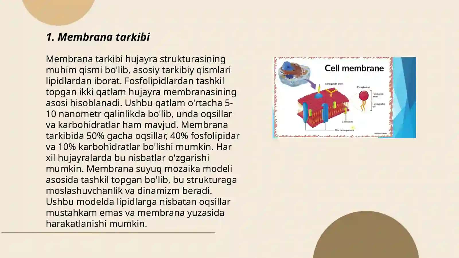 Membrana tuzilishi 3