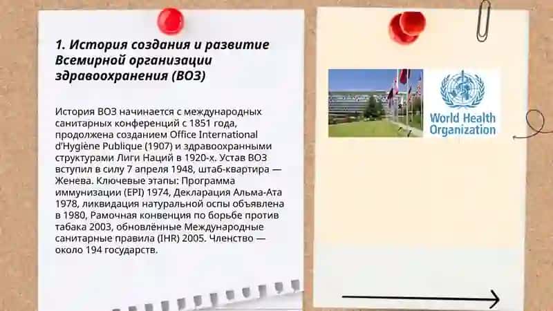 Всемирная организация здравоохранения 3