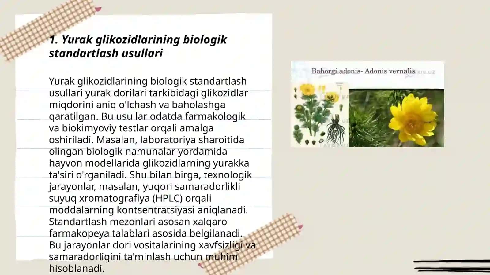Yurak glikozidlarini biologik standartlash.Bahorgi Adonis, Kombe strofanti 3