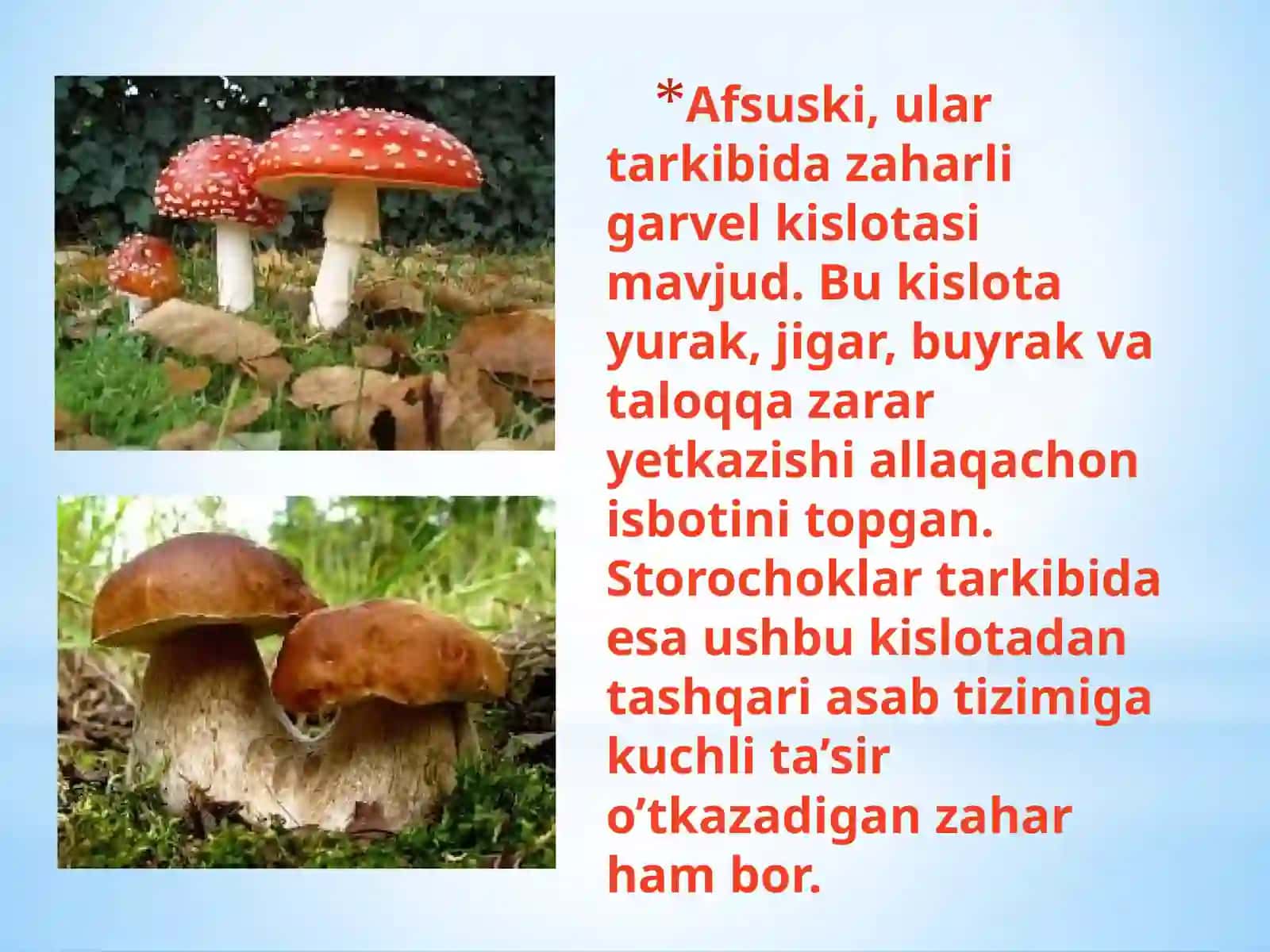 Qo‘ziqorinlardan zaharlanish 3