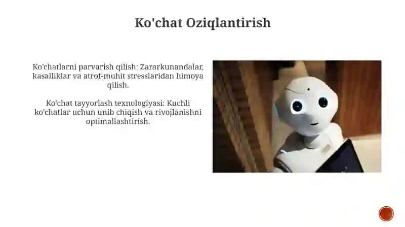 Ko'chatlarni ekishga tayyorlash texnologiyasi 3