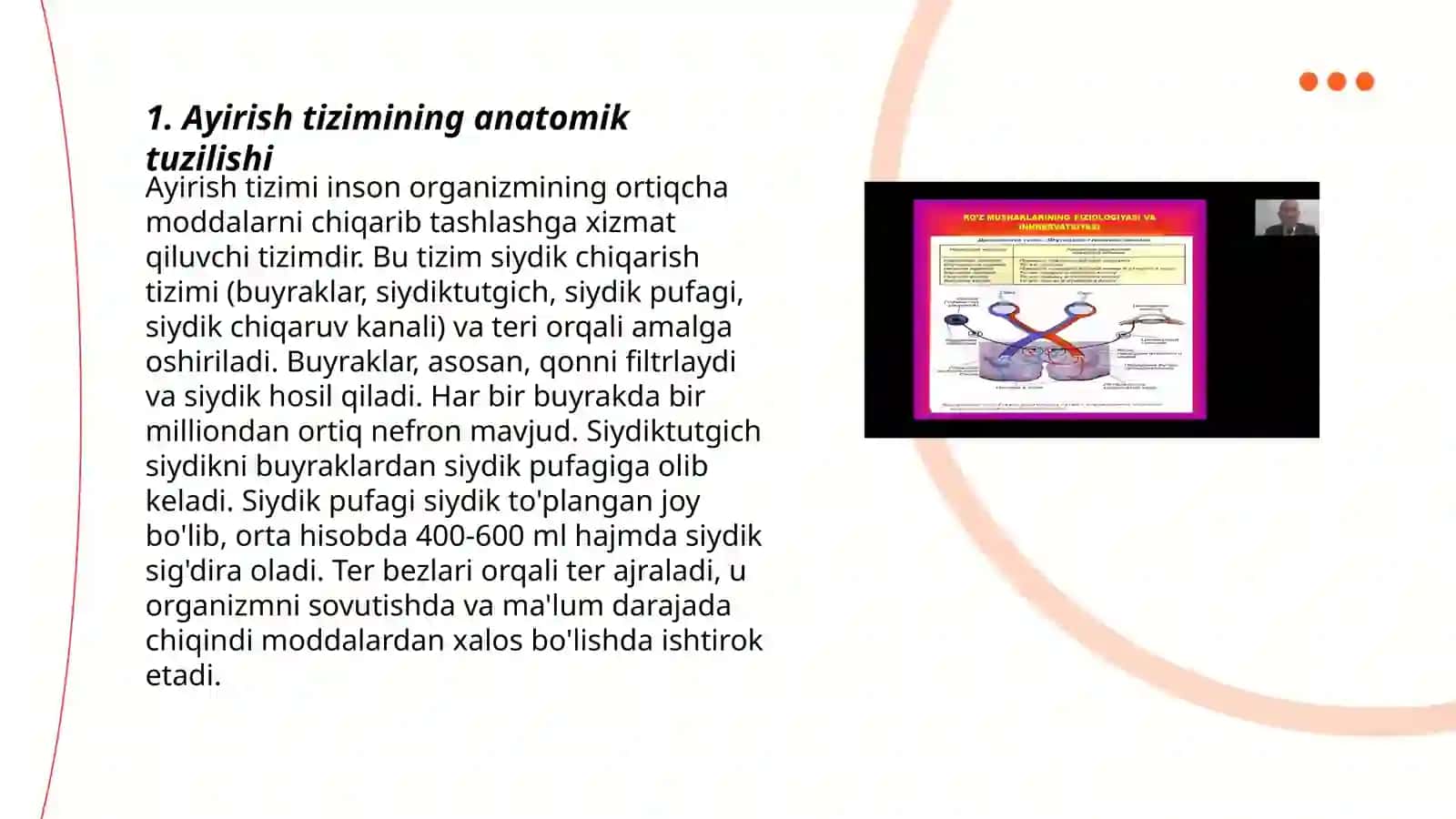 Ayirish tizimiga kiruvchi a'zolarning tuzilishi fiziologiyasi 3