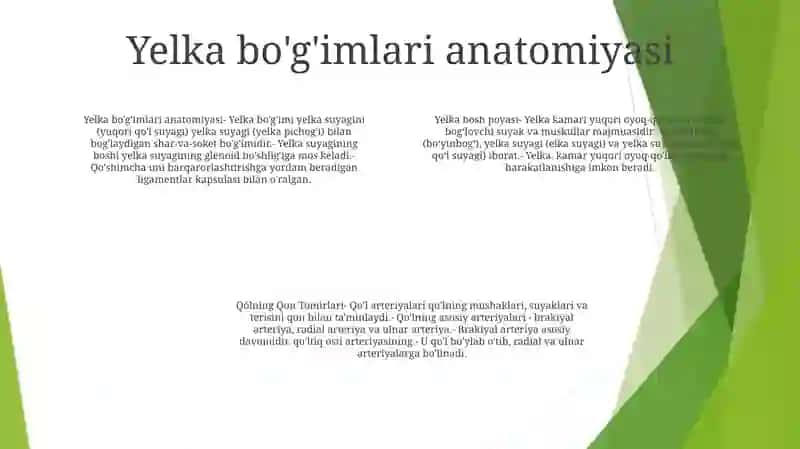 Yelka Bosh Poyasi 3