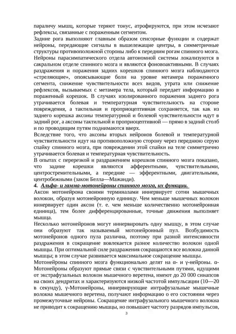 Функции спинного мозга, ствола головного мозга и мозжечка 3