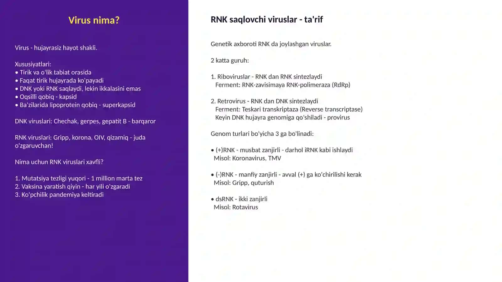 RNK saqlovchi viruslari | Taqdimot 3