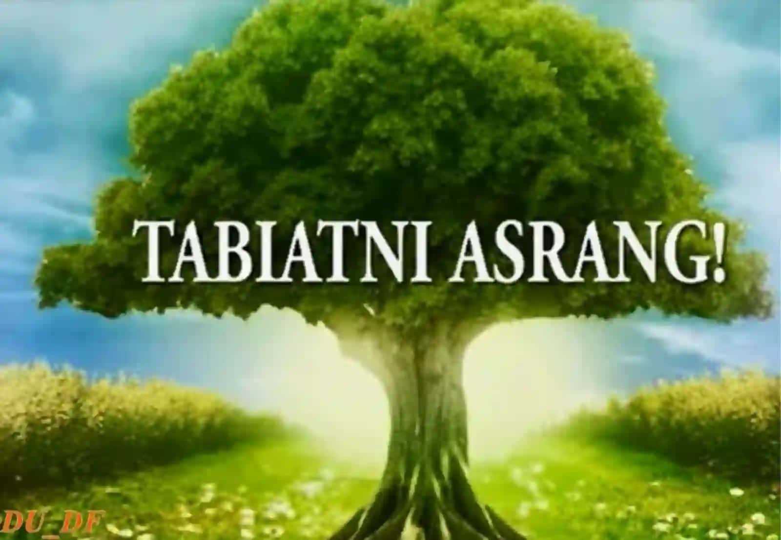 Xalqaro Ekologik Huquqning Asosiy Tamoyillari 3