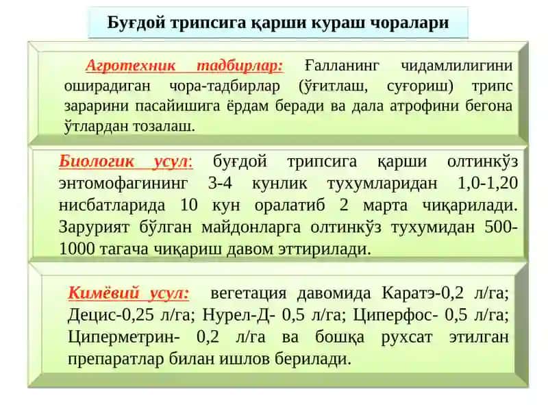 Ғаллани сўрувчи зараркунандалари ва уларга қарши кураш чоралари 3