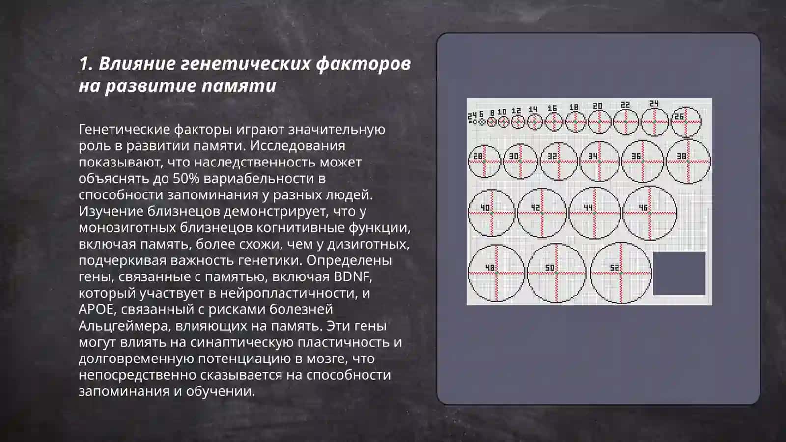 Факторы влияющие на развитие памяти 3