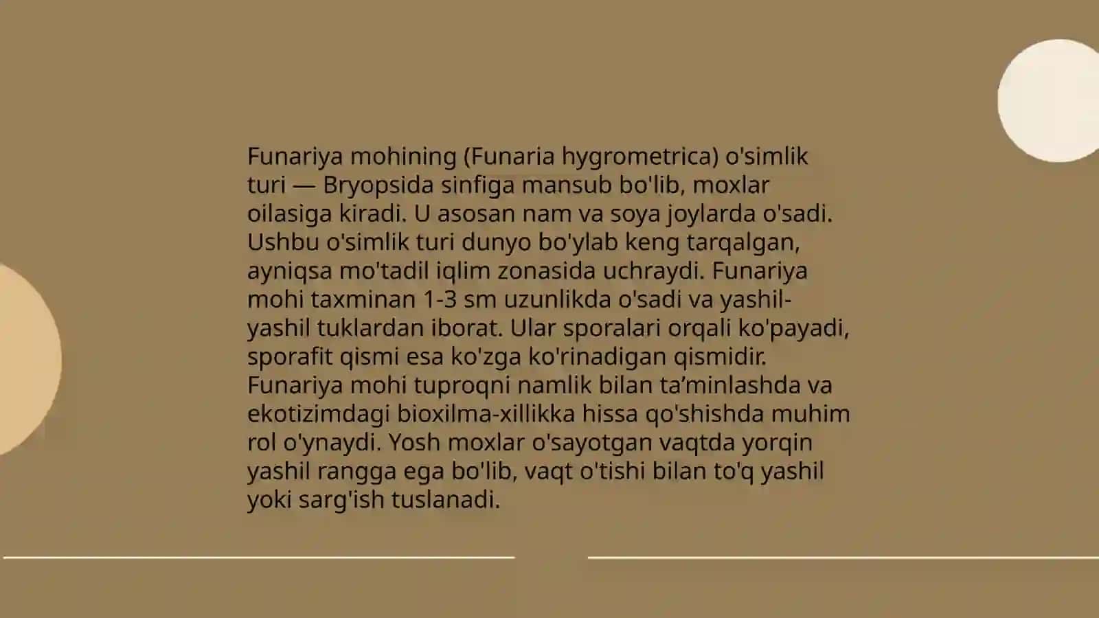 Funariya mohi 3