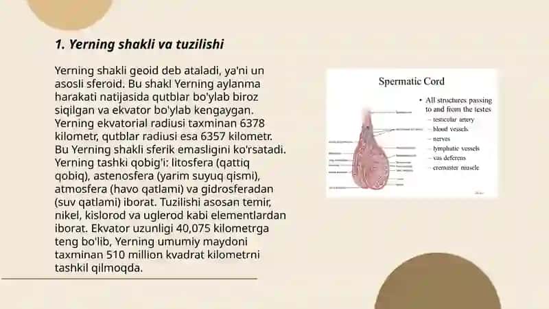 Teri tuzilishi va funksiyasi 3