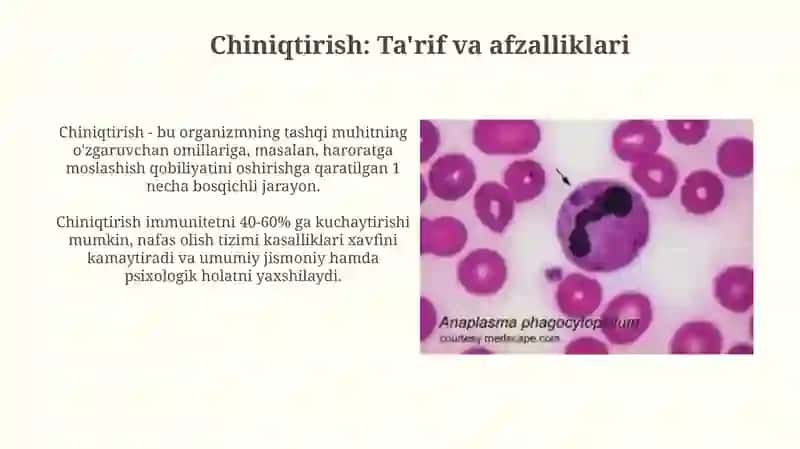 Chiniqtirish 3