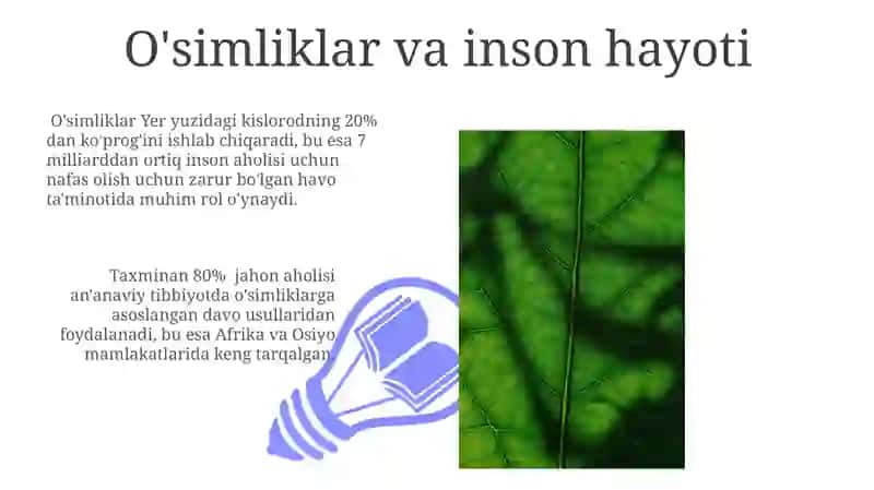O‘simliklar dunyosi va o‘simliklarning hayotiy shakllari 3