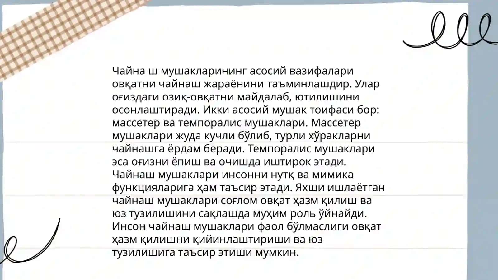 Чайнaш мушакларининг асосий вазифалари 3