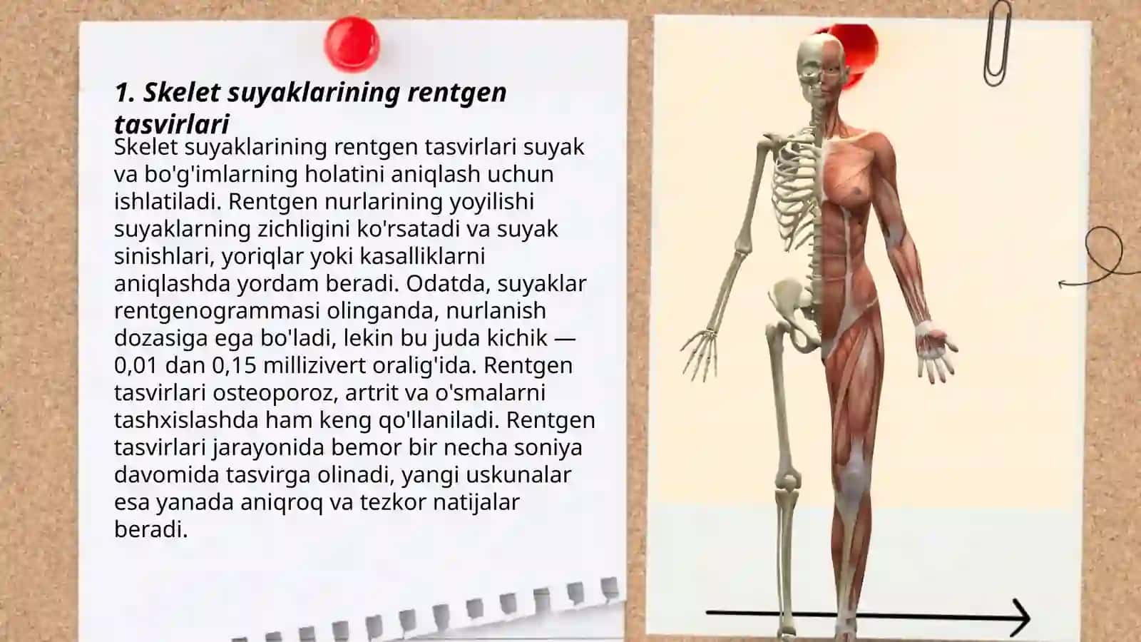 Skelet suyaklarining rentgenanatomiyasi 3
