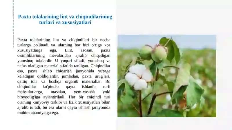 Paxtatolalarining lint va chiqindilarining turlari va xususiyatlari 3