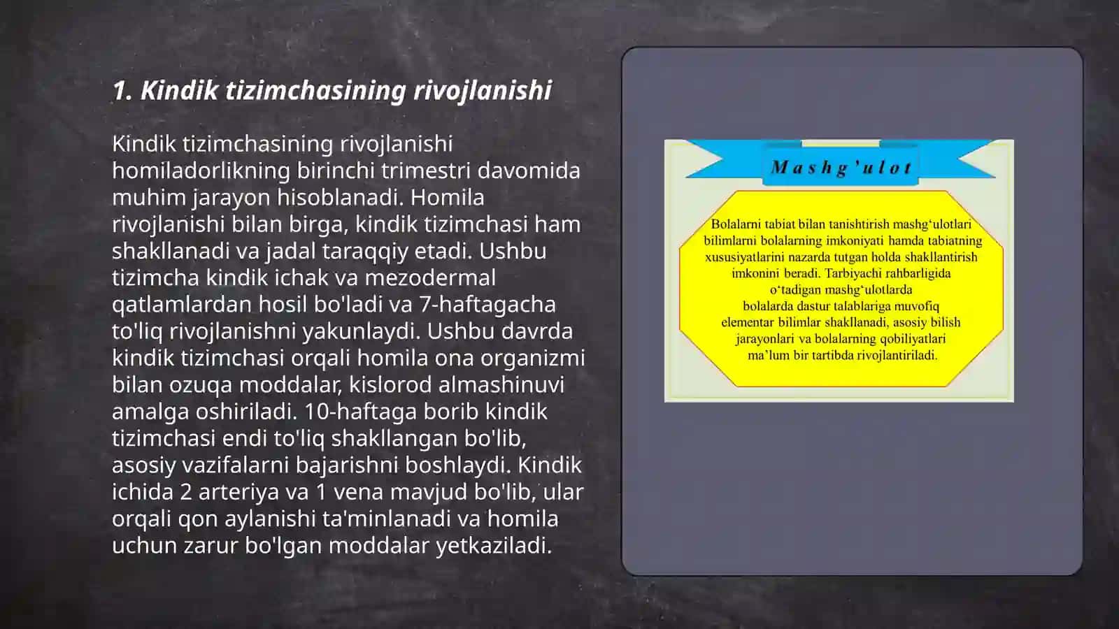 Kindik tizimchasining rivojlanishi, tuzilishi va vazifalari 3