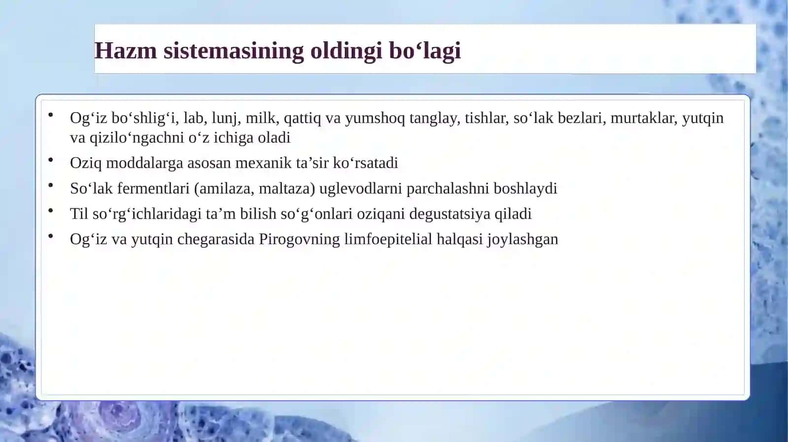 Hazm sistemasining oldingi bo‘lagi 3