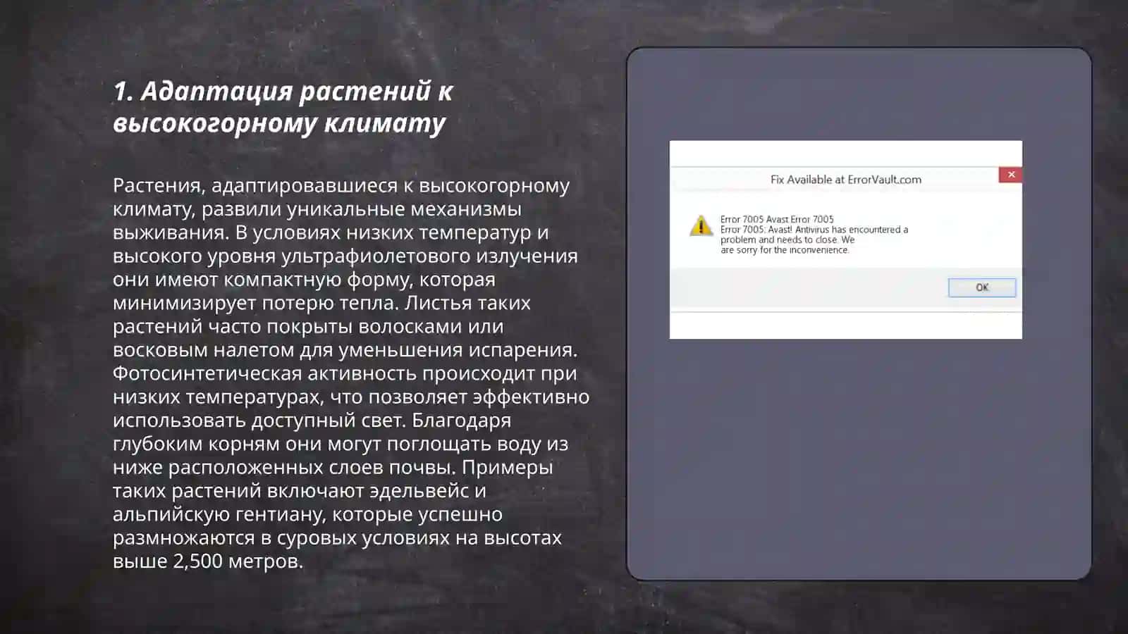 Адаптация растений и животных к жизни в высокогорных районах 3