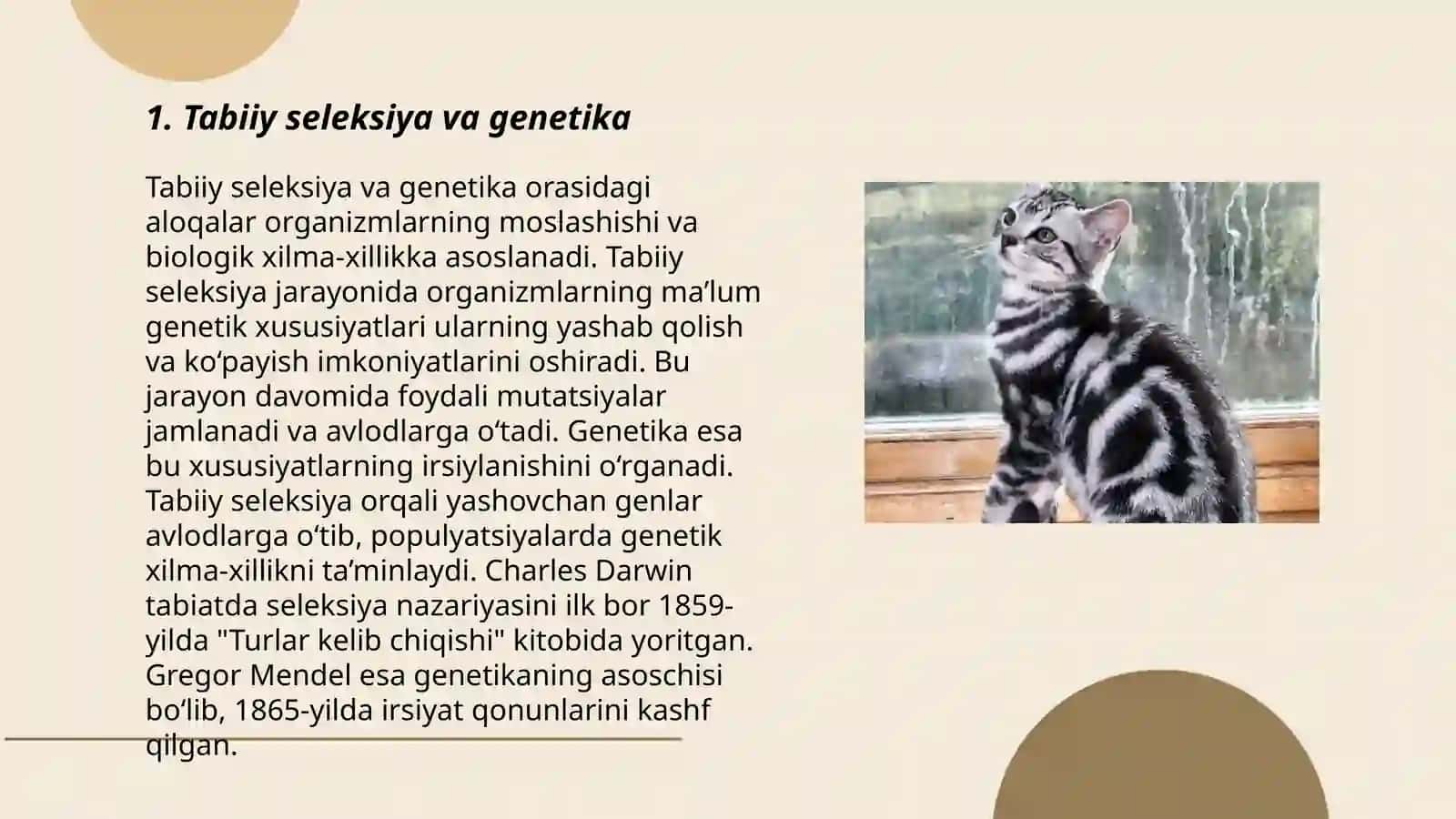 Tabbiy ginetika 3